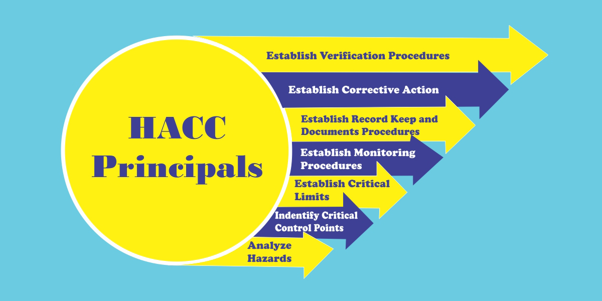 haccp-certification (1)